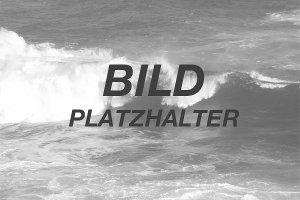 Sachverständigenbüro Widmayer GmbH